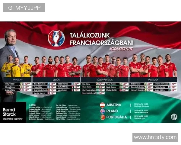 匈牙利与冰岛附加赛激战在即谁能晋级欧洲杯决赛圈